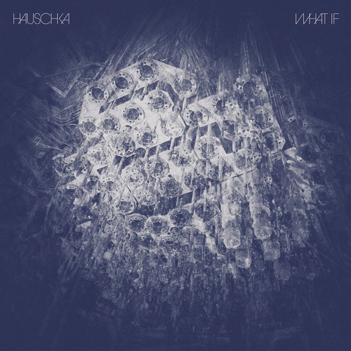 Disco De Vinilo  What If, Hauschka