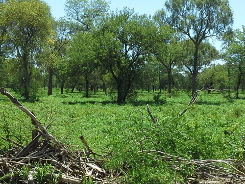 Campo En Venta, Chaco Taco Pozo