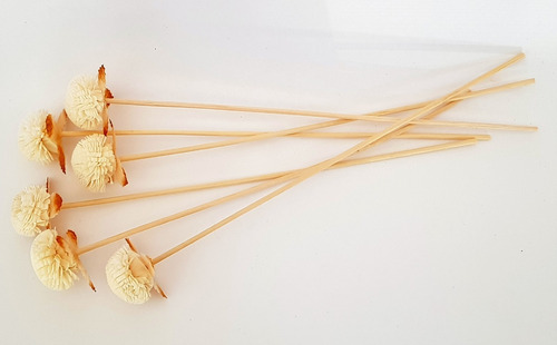 Varillas Difusores Rattan Fantasía 12 Unidades Crisantemo