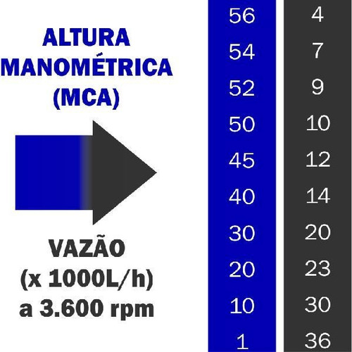 Imagem 5 de 5 de Bomba Irrigação C/ Motor 7,0 Cv Gasolina Buffalo