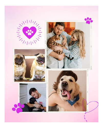 Template Canva Petshop: 25 Artes De Artes Editáveis