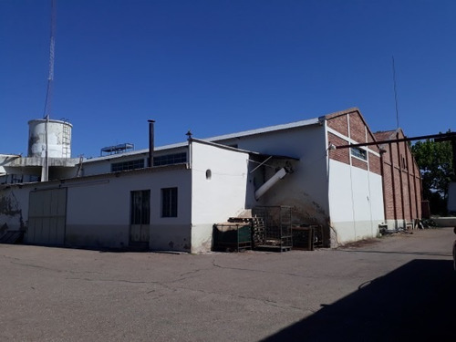 Vendo Bodega Con Viñedos Y Elaboración Propia