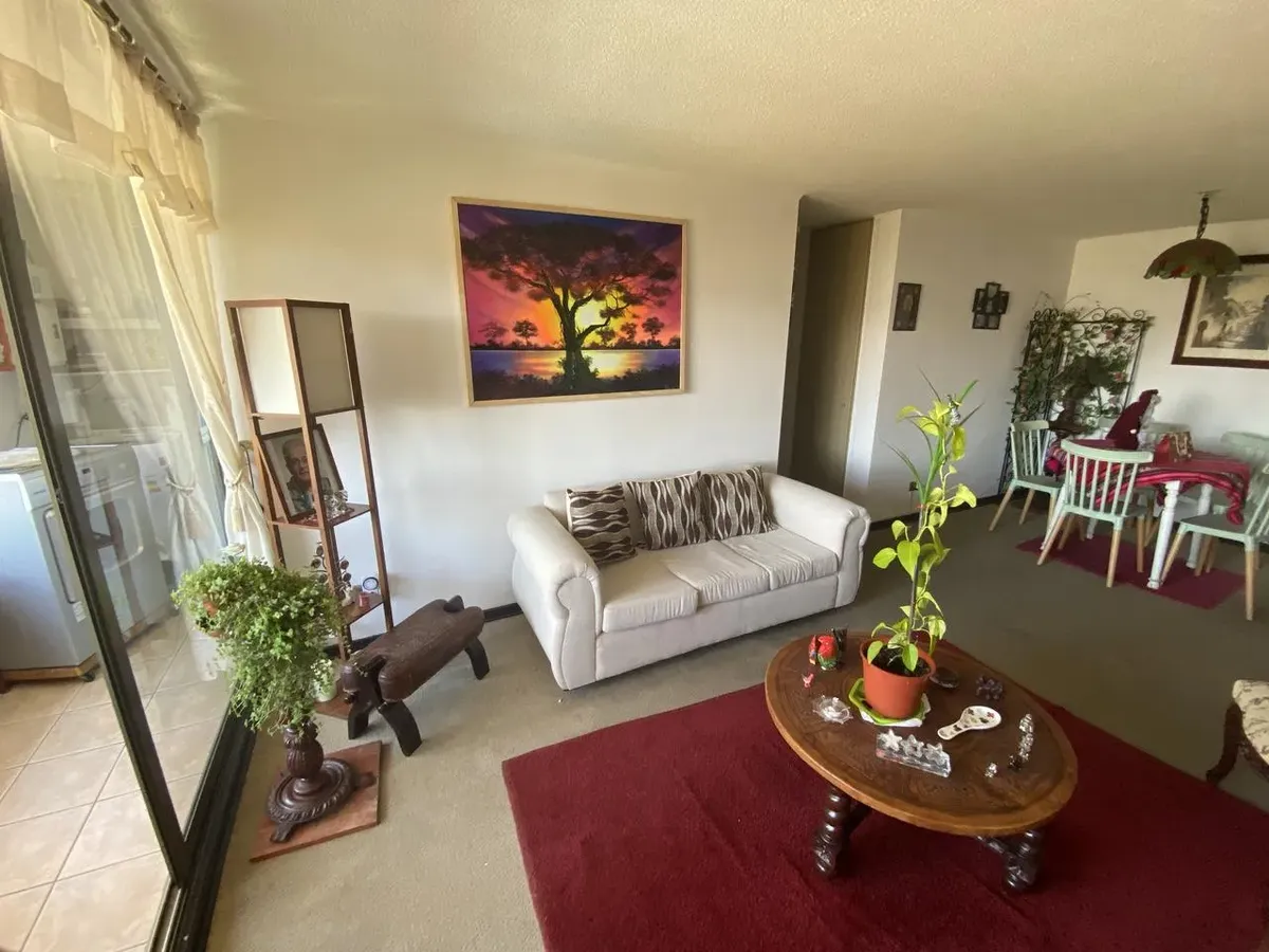Imagen 5 de 26 de Precio Rebajado - Gran Departamento Vista Despejada En Viña
