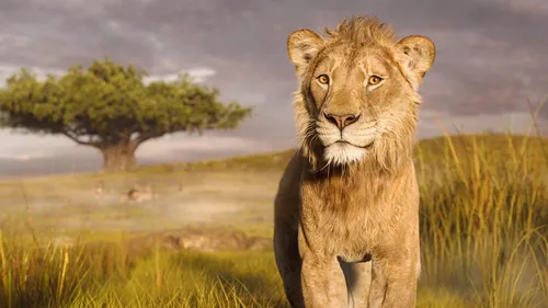 Película Disney Mufasa: El Rey León 4k Uhd Blu-ray