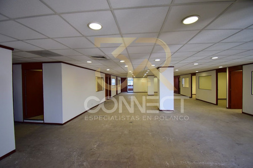 Oficina En Renta En Anzures 22c/3b/1e - Excelente Ubicación - 650m2