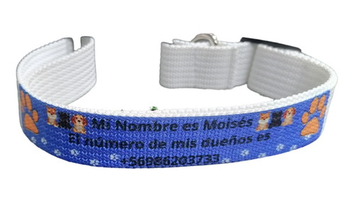 Collar De Mascotas Personalizado, Diseño A Elección