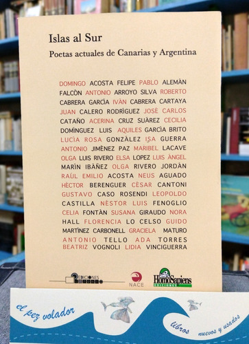 Islas Al Sur. Poetas Actuales De Canarias Y Argentina