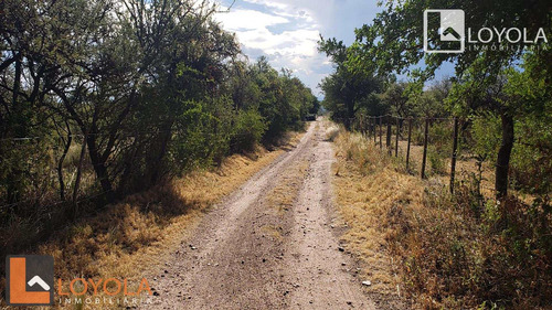 Imagen 11 de 15 de Villa Larca 2 Hectáreas Al Pie De Las Sierras