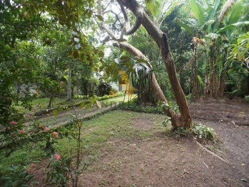 Imagem 8 de 17 de Terreno Em Vargem Grande - Est. Bandeirantes - Sqa0398j - 31971984