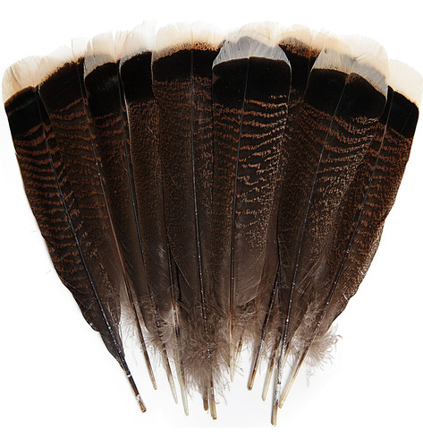 Tharaht 24 Plumas Naturales De Pavo Salvaje A Granel De 8 A