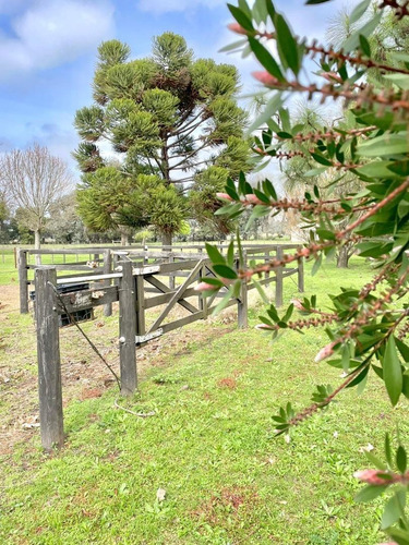 Permuto Chacra, 6 Has Parquizadasx Casa O Dpto En Pinamar , Antiguamente Siendo Un Haras, Se Fue Transformando En Casa Principal , Km 305 De La Ruta Nacional N*5 Carlos Casares-ba
