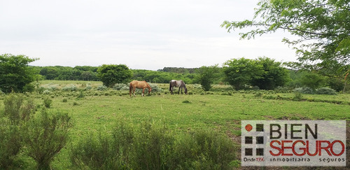 Chacra De  36,2440 Hás, Monte Nativo En Venta En Toledo Chico