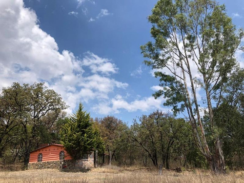 Imagen 10 de 12 de Terreno En Venta San Pablo Ojo De Agua