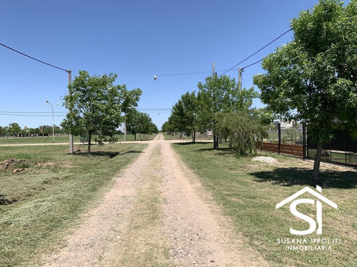Imagen 2 de 14 de Lotes De 518m2 Con Orientación Este En Roldan