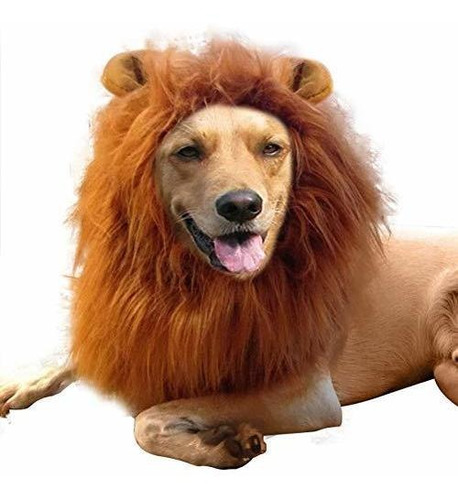 Disfraz De Perro Lulu Home, Melena De León Ajustable Y Real | Cuotas sin interés Disfraz De Perro Lulu Home, Melena De León Ajustable Y Real | Cuotas sin interés