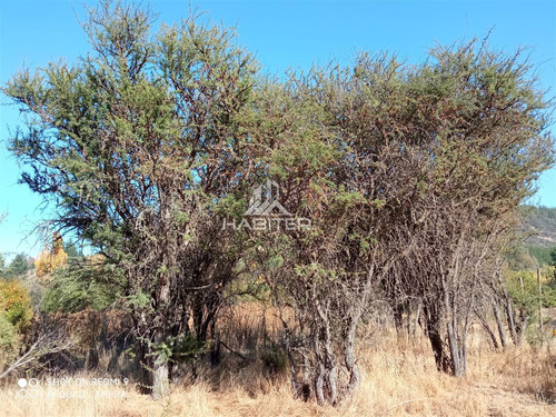 Se Vende Parcela De Agrado En Santa Rosa De Lavaderos Maule