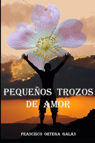 Libro: Pequeños Trozos De Amor (spanish Edition)