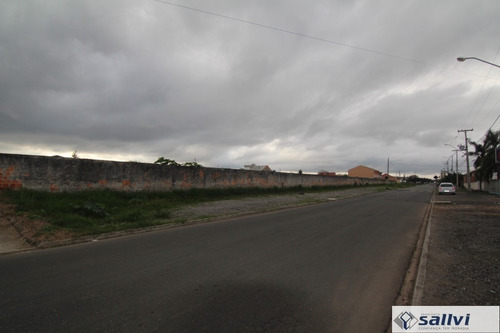 Imagem 1 de 9 de Terreno Para Alugar - 01278.006