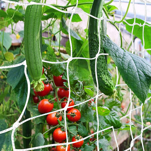 Soporte Planta 2,85x0,75.m Tutor Guia Cultivo Red Malla 15cm