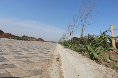 Imagen 24 de 28 de Ecotierra Sur - 300 M2