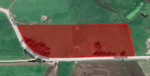 Venta Chacra 5,9 Hectáreas Camino Medellín Y Ruta 104 (ref: Tbr-3183)
