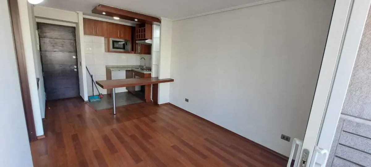 Imagen 1 de 25 de Acogedor Depto 1 Dormitorio Lira 526 (173134)