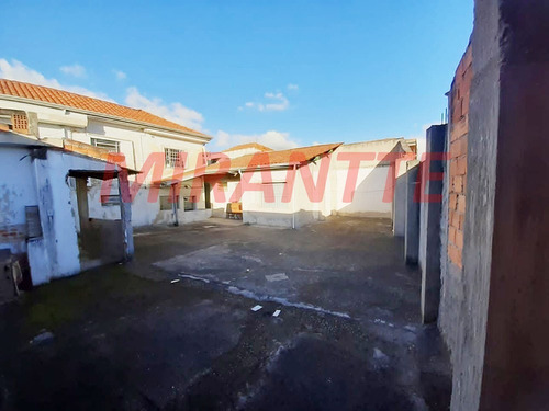 Imagem 5 de 9 de Terreno Em Vila Santa Maria - São Paulo, Sp - 367439