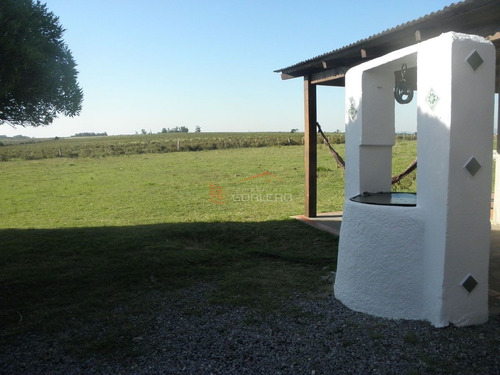 Imagen 7 de 12 de Chacra A La Venta En Uruguay, Interbalnearia Canelones, A 2 Km Del Mar