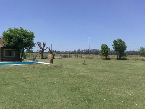 Imagen 3 de 13 de Casa 4 Ambientes