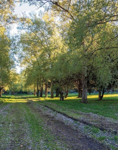 Imagen 4 de 4 de Lotes En Barrio Pinares De Santa Clara **escritura Inmediata***