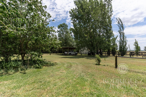 Campo En Venta San Antonio De Areco 19ha Con Casa Ppal Y Secundaria