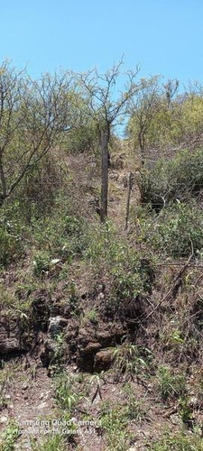 Imagen 12 de 23 de Terreno En Villa La Serranita Con Escritura