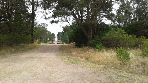 Campo En Colonia.