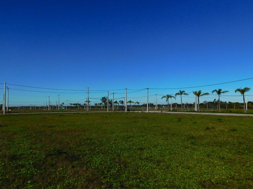 Venta Lote En El Lazo En Exaltacion De La Cruz