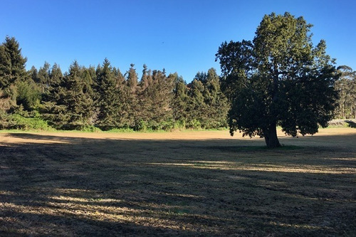 Atractivo Terreno De 1,2 Ha Con Orilla De Ruta 225