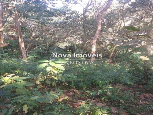 Imagem 24 de 25 de Area Para Investimento Parceira - 1392