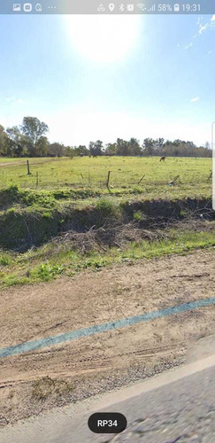 Imagen 6 de 9 de Campo 2,700 Ha. Ubicado Sobre Ruta 34