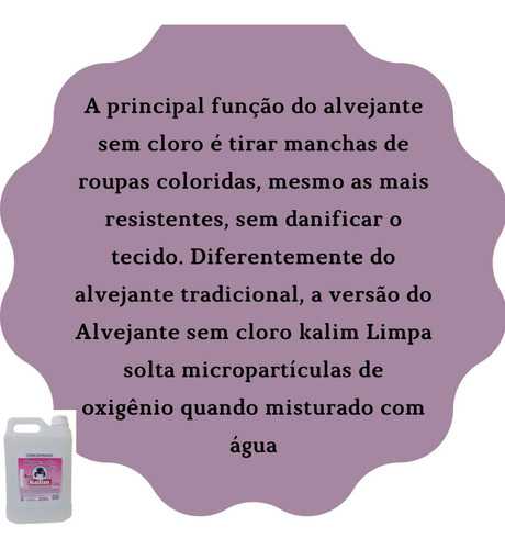 Clareador Branqueador Roupas Brancas Concentrado 10l Faz 50