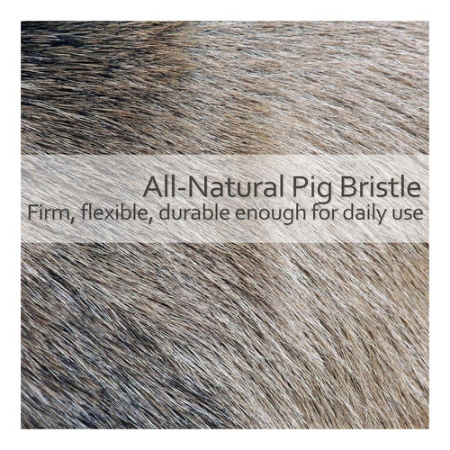 Redecker Natural Pig Bristle Espresso Maker Cepillo Con De