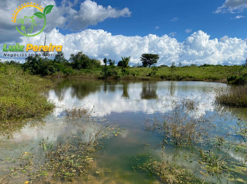 Imagem 1 de 5 de Fazenda À Venda Em Tucuruí - Pa - 2.420 Hectares P/lavoura De Soja - 1832