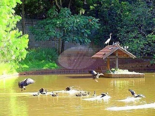 Imagem 3 de 9 de Terreno À Venda Em Barão Geraldo - Te185382