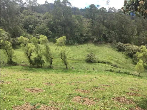 Vendo O Permuto Finca En Junin Cundinamarca