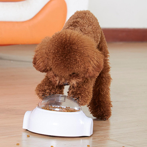 X Trate Los Juguetes De Rompecabezas Para Perros