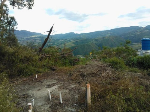 Imagen 13 de 30 de Terrenos En Venta Sanare Andres Eloy Blanco 22-21671 #m
