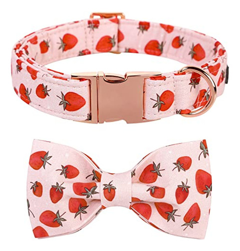Collar Perro Lionet Paws - Verano Ajustable Con Lazo De