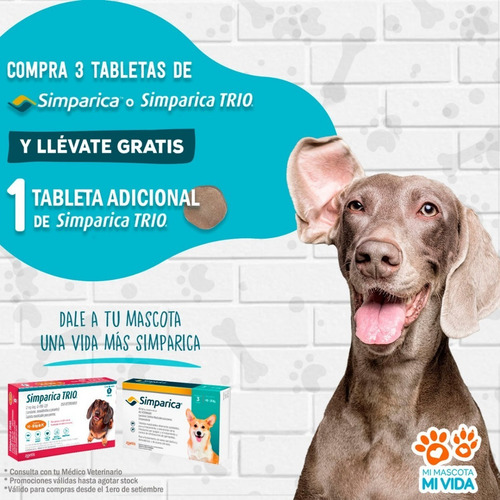 Imagen 2 de 4 de Antipulgas Antigarrapas Simparica Trio 20-40 Kg 3 Cajas X1