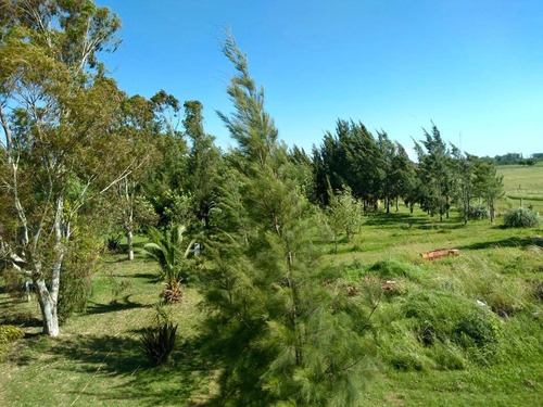 Imagen 4 de 8 de Campo En Venta En Chascomus Con Fondo De Comercio