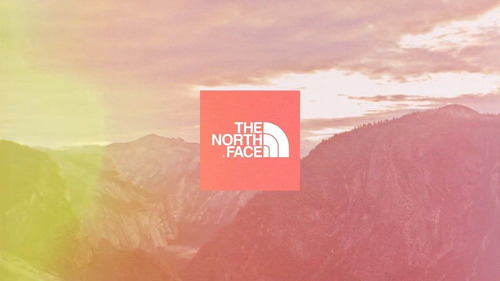 Imagen 4 de 5 de Campera De Pluma The North Face Morph Dama Abrigo Duvet 800