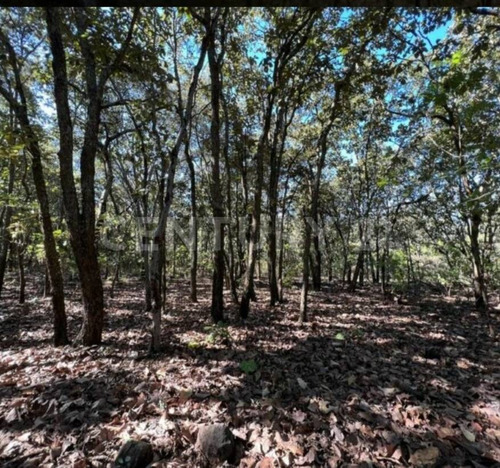 Imagen 4 de 30 de Terreno Venta En La Reserva De Los Encinos, El Arenal, Jalisco.