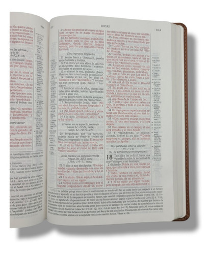 Imagen 5 de 10 de Biblia De Estudio Scofield 1960 Imit Piel Verde Con Cafe